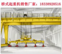 电磁行吊特殊作业适配的